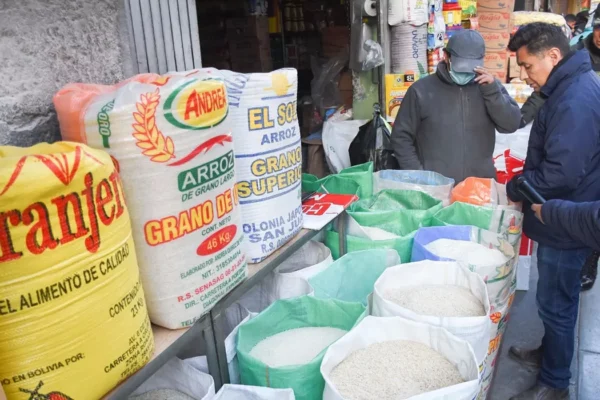 Gobierno evalúa establecer guías de movimiento para el arroz