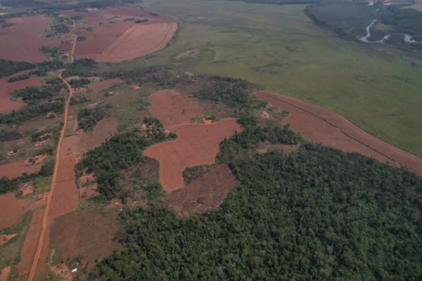 Paraguay: los productores de soja se oponen a las medidas contra la deforestación importada de la UE