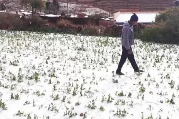 Expertos ven que sequías, granizadas y heladas serán simultáneas en Bolivia