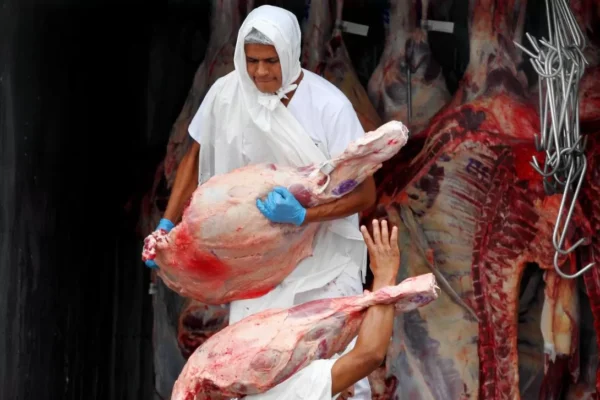 Exportadores: “Suspensión de exportación de carne pone en peligro los mercados abiertos y los que están en proceso de apertura”