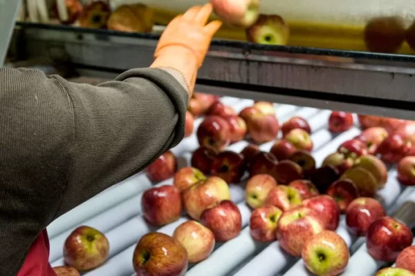 Tensiones en el sector frutícola