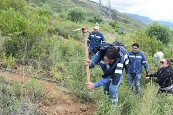 7 mil árboles son plantados en el Parque Tunari