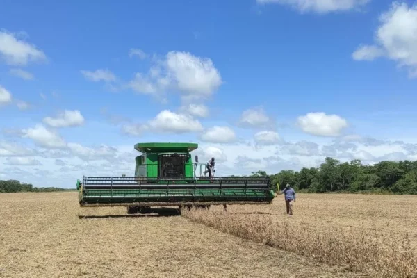 Anapo: Los productores están desesperados por salvar la producción de alimentos para el país