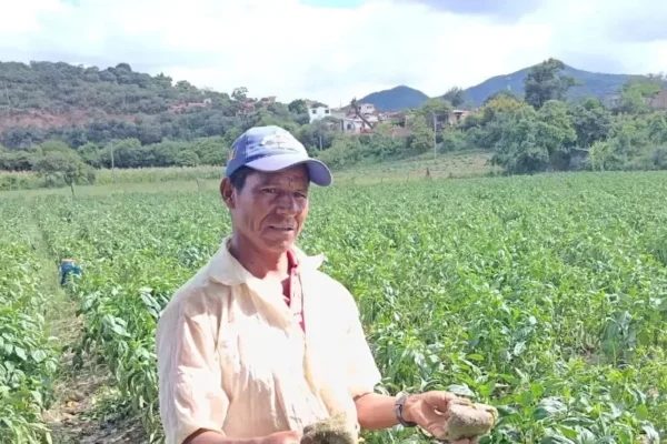 Valles cruceños: Conforman un Comité de Defensa ante el desabastecimiento de combustibles