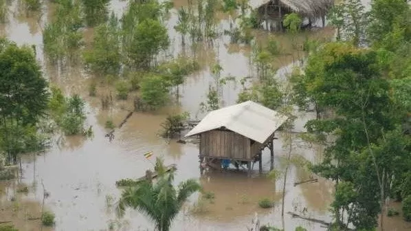 Ganaderos enfrentan crisis en el Beni: «Todo está inundado»