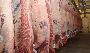 Sube un 31% la cantidad de carne de vacuno exportada por Paraguay en el primer trimestre del año