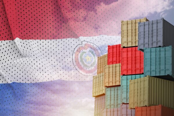 De la soya a la energía: el efecto de los precios internacionales en las exportaciones de Paraguay