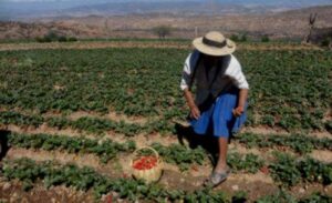 Campesinos de Tarija exigen que no se quite el Prosol ni se retire a médicos de las postas de salud
