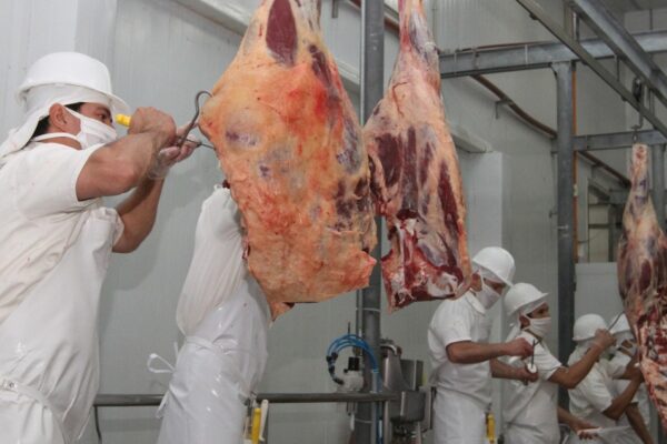 Exportaciones de carne bovina crecieron 42,8% en valor en el primer cuatrimestre del año