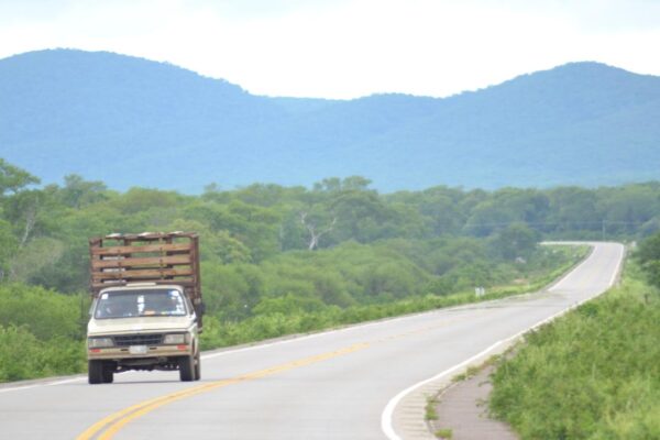Corredores interoceánicos: la oportunidad de oro que Bolivia arriesga perder
