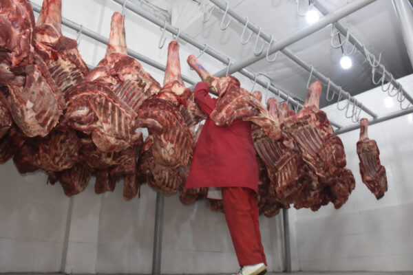 Beni: Ganaderos bajan precio de la carne tras mejora en caminos y un clima favorable