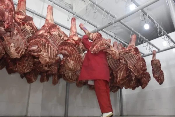 Bolivia avanza en proceso para exportar carne a Egipto