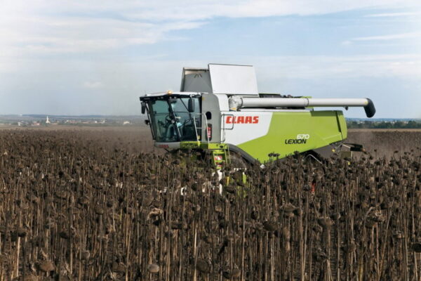 Argentina: Las máquinas acompañan la revancha del girasol
