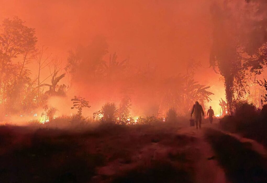Ganaderos de Guarayos alertan por incendios y sequía prematura